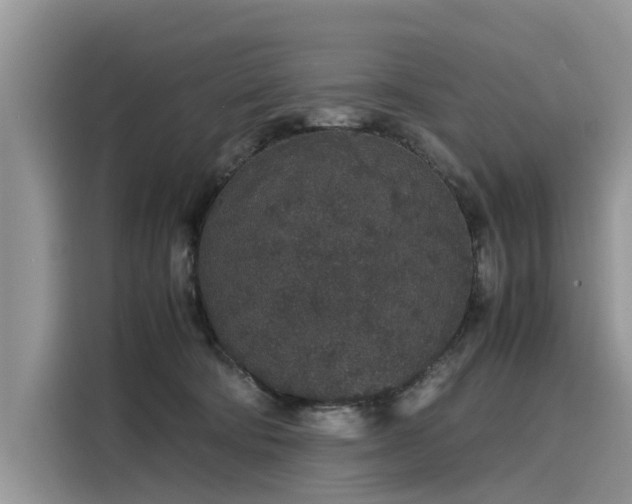 X0000116100322200911301108