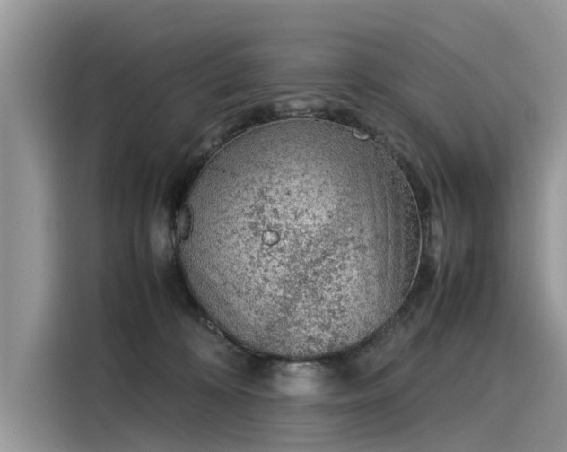 X0000116100324200911301108