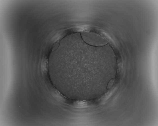 X0000116100325200911301108