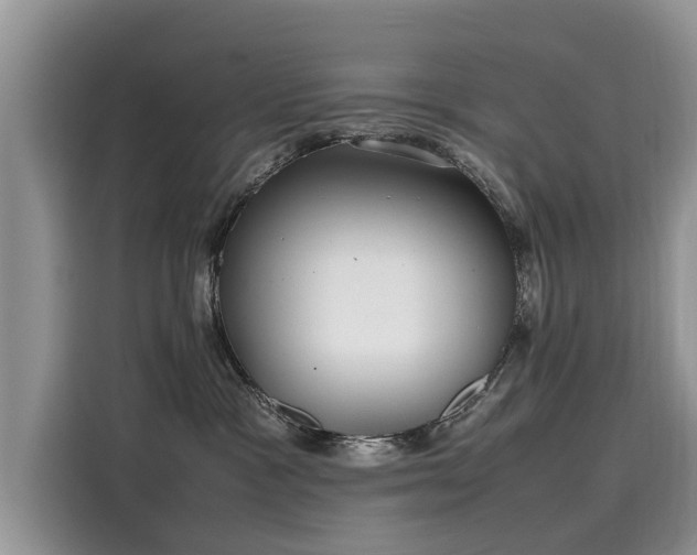 X0000116100333200911301108