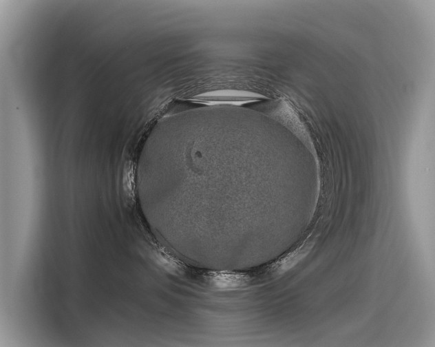 X0000116100336200911301108