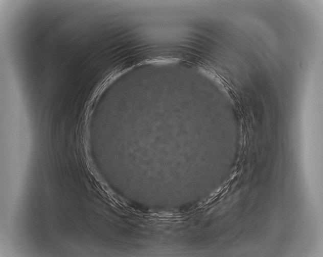 X0000116100337200911301107