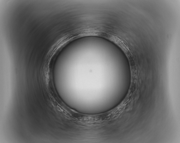 X0000116100338200911301107