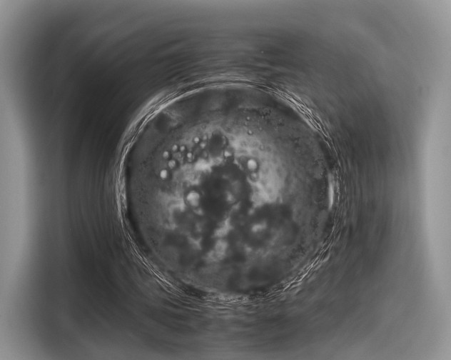 X0000116100339200911301107