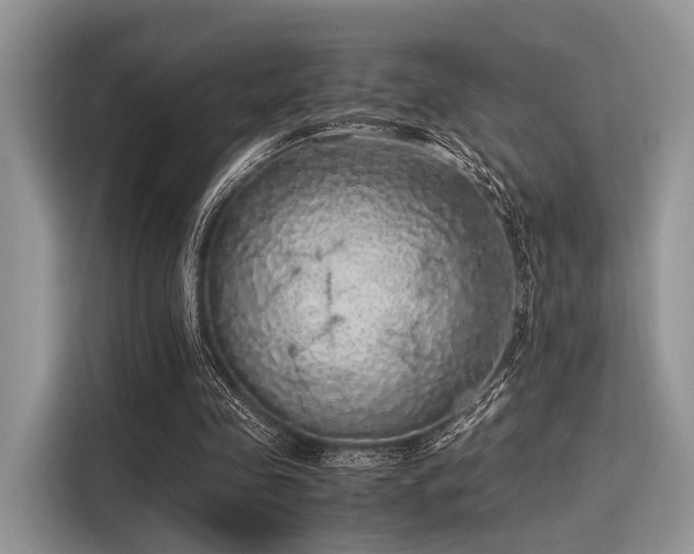 X0000116100341200911301107