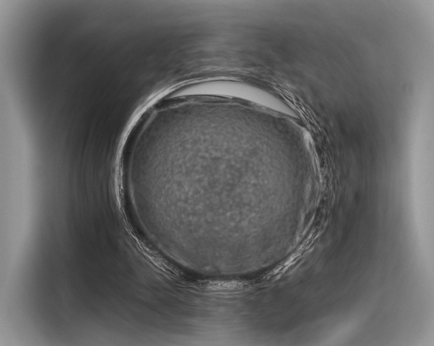 X0000116100342200911301107