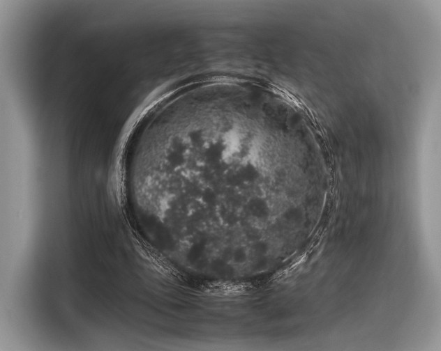 X0000116100343200911301107