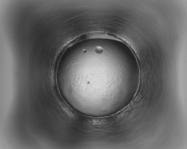 X0000116100345200911301107