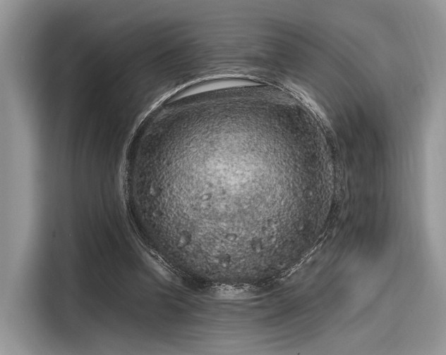 X0000116100346200911301107