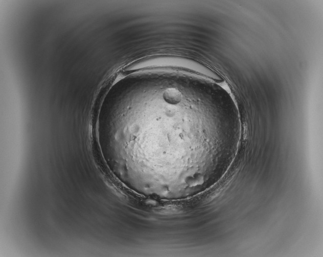 X0000116100349200911301107