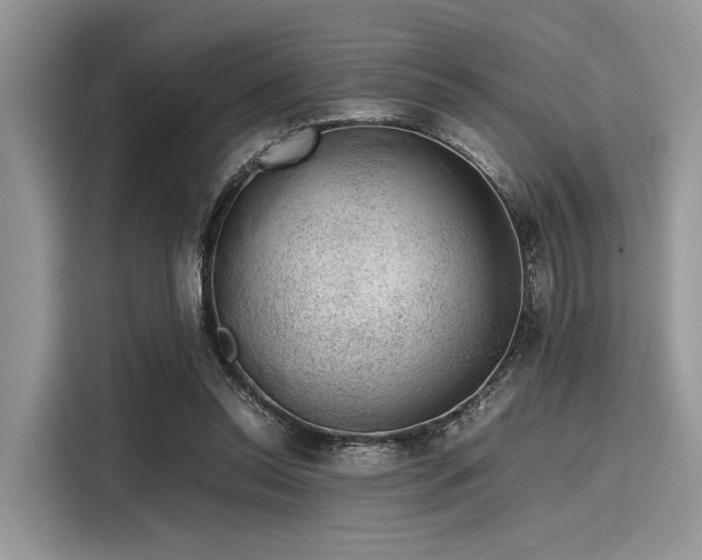 X0000116100350200911301107