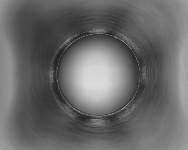 X0000116100351200911301107