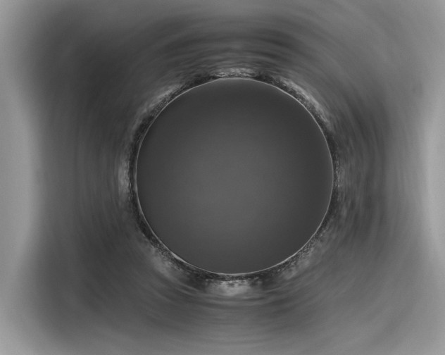 X0000116100353200911301107