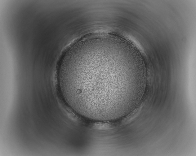 X0000116100354200911301107