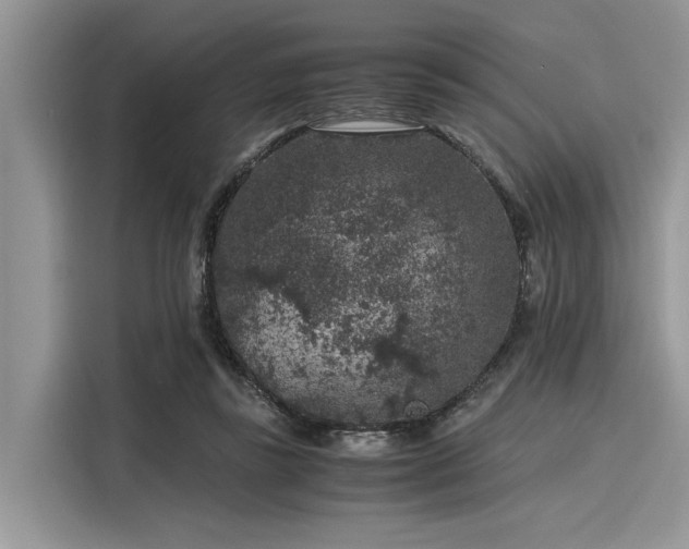 X0000116100355200911301107