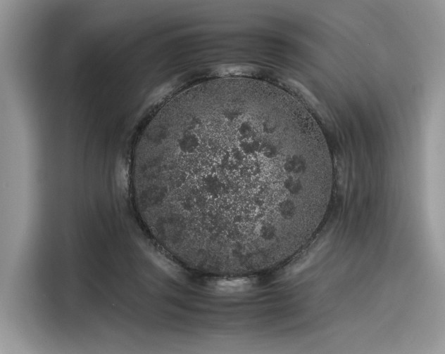 X0000116100357200911301107