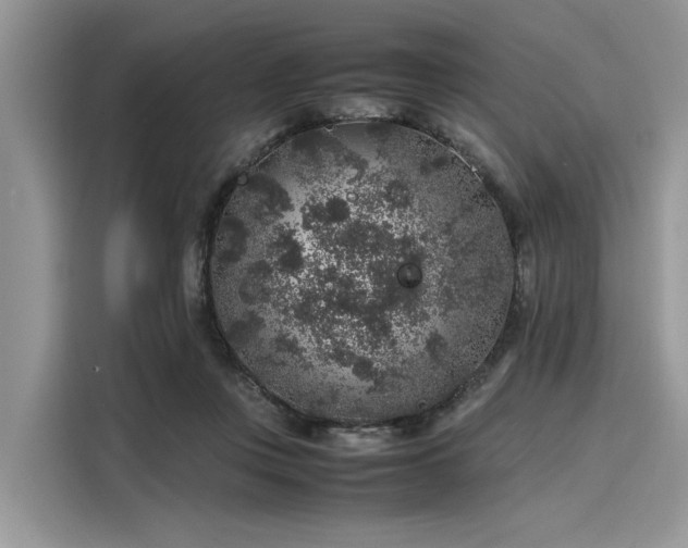 X0000116100359200911301107