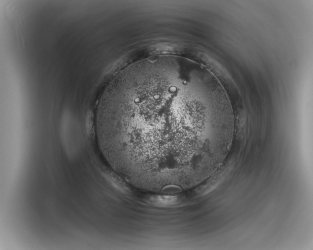 X0000116100361200911301107