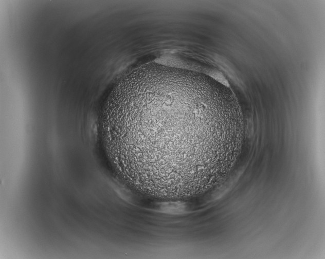 X0000116100363200911301107