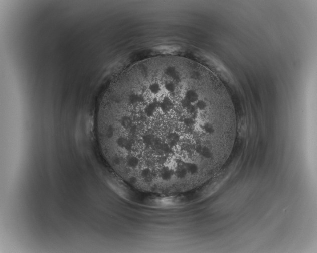 X0000116100365200911301107