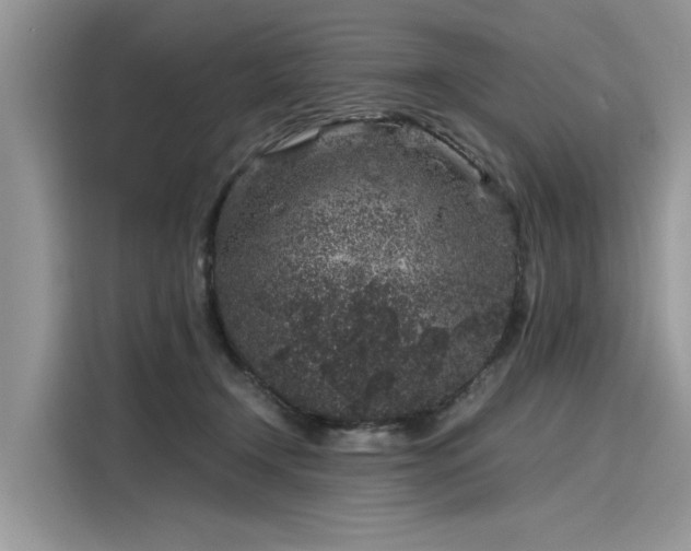 X0000116100366200911301107