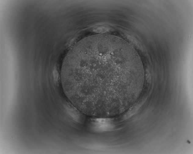 X0000116100371200911301107