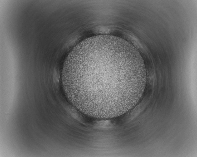 X0000116100374200911301107