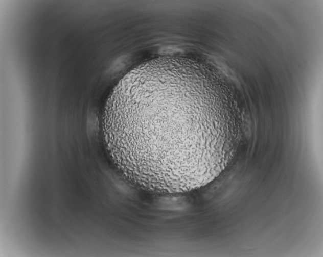 X0000116100375200911301107