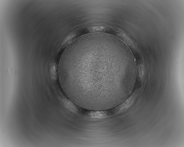 X0000116100378200911301107