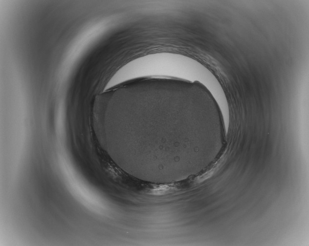 X0000116100382200911301107