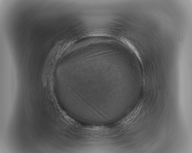 X0000116100385200911301107