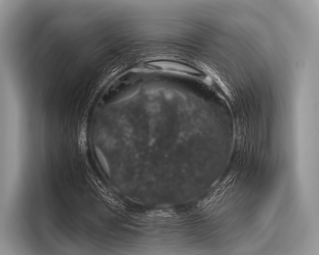 X0000116100386200911301107