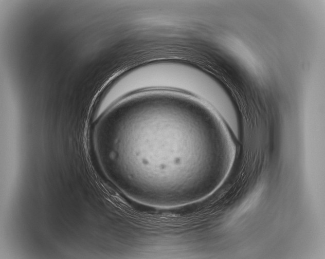 X0000116100387200911301107