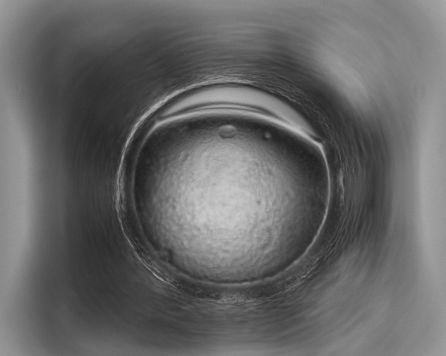 X0000116100388200911301107