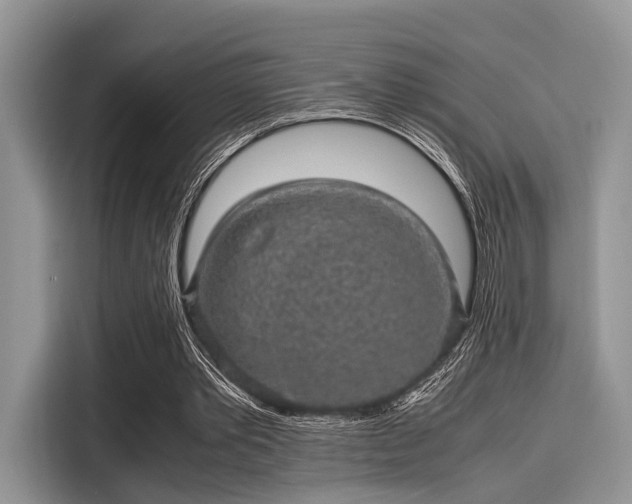 X0000116100389200911301107