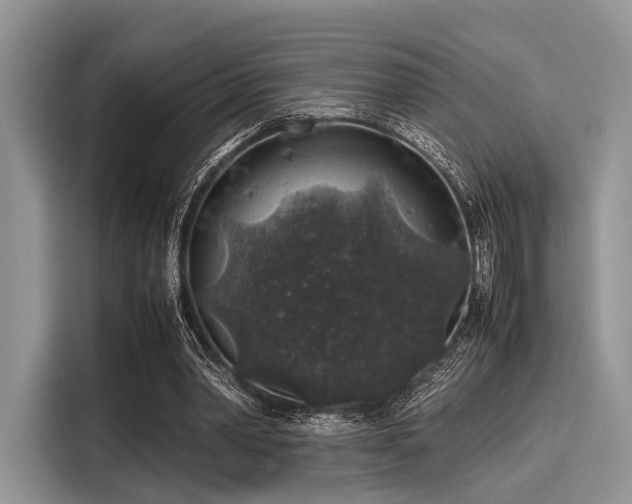 X0000116100390200911301107