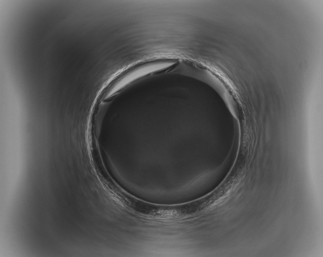 X0000116100391200911301107