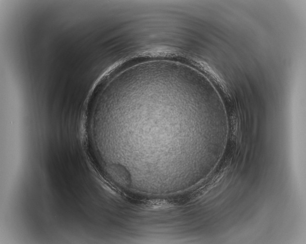 X0000116100392200911301107