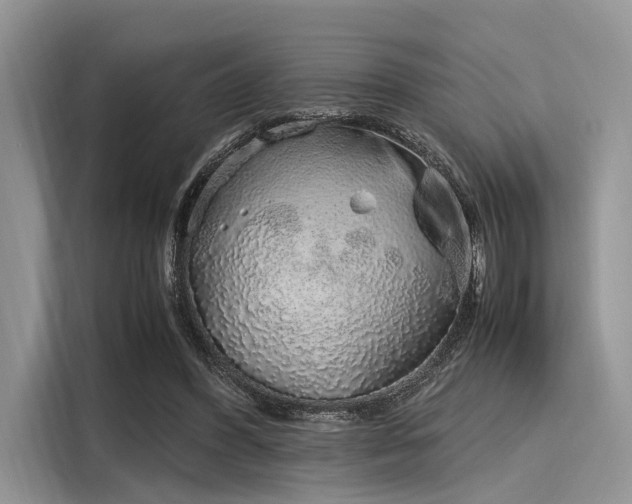 X0000116100396200911301107