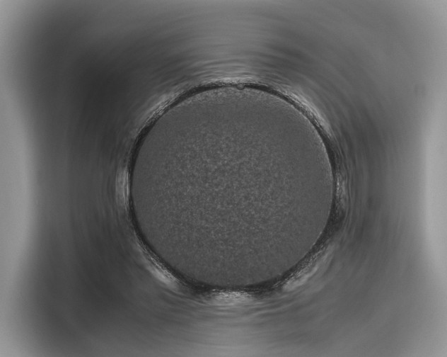 X0000116100397200911301107