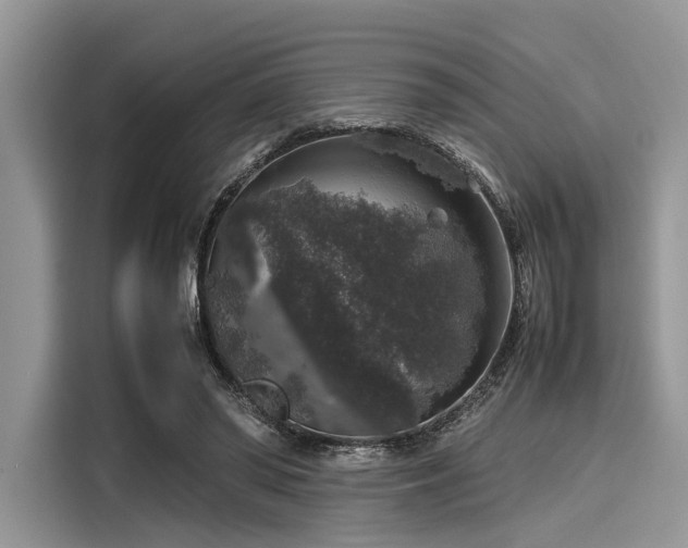 X0000116100398200911301107