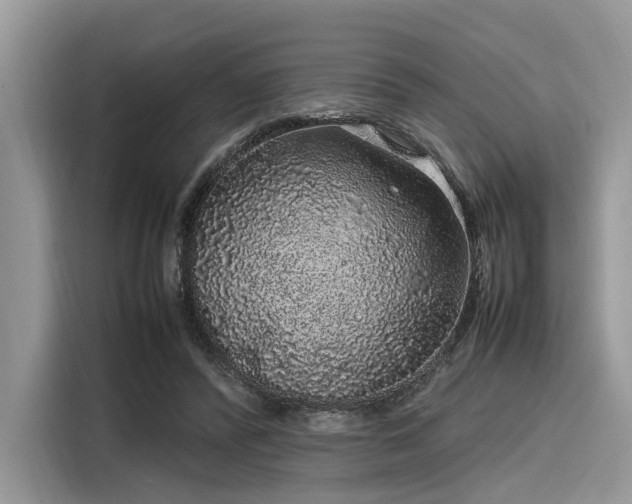 X0000116100400200911301107