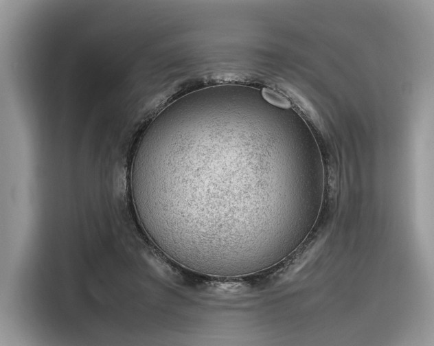 X0000116100401200911301107