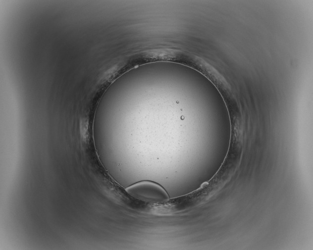 X0000116100403200911301107