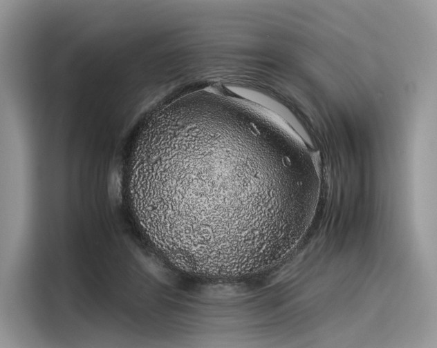 X0000116100404200911301107