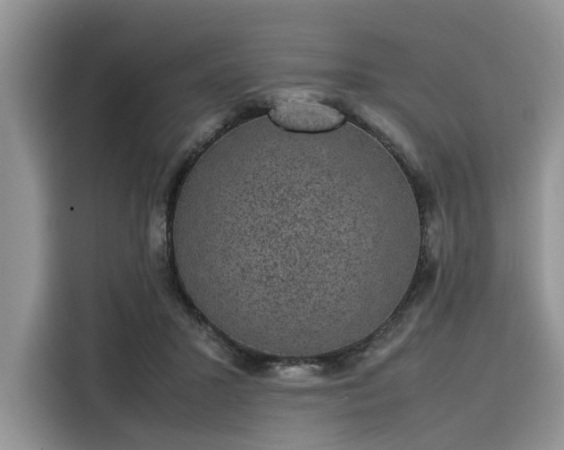 X0000116100407200911301107