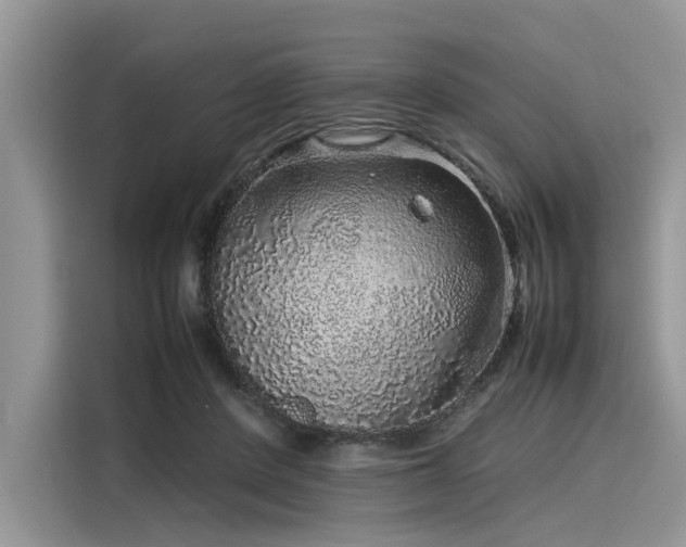 X0000116100408200911301107