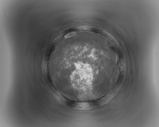 X0000116100409200911301107