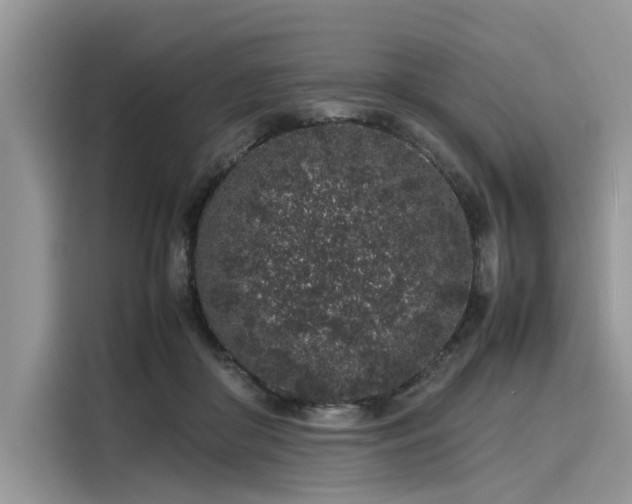 X0000116100410200911301107