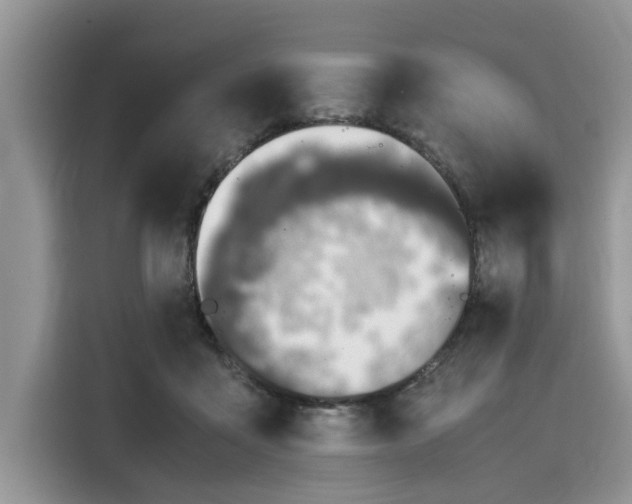 X0000116100411200911301107